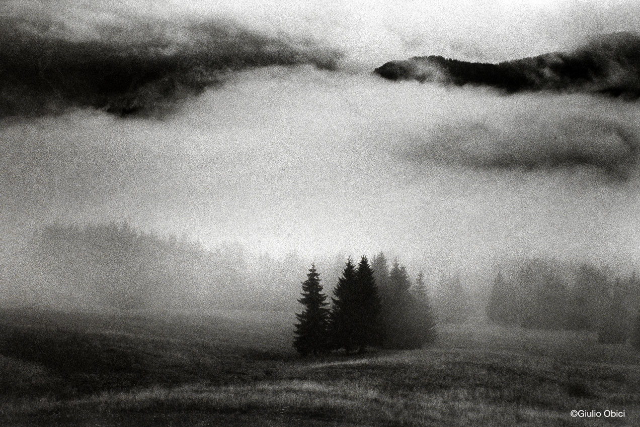 Visions | Cadore, 2009