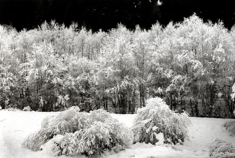 Visions | Val di Casies, Bolzano, 1989