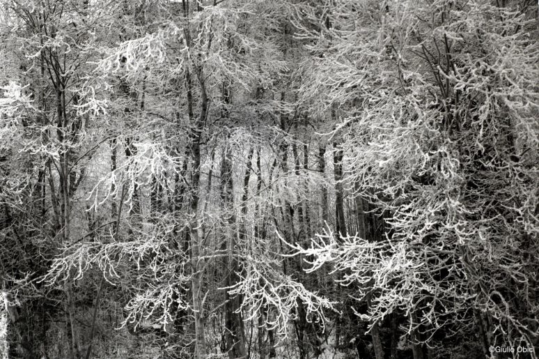 Visions | Val di Casies, Bolzano, 1989