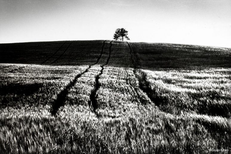 Visions | Tuscany, 2007