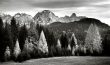 Visions | Danta di Cadore, 2009