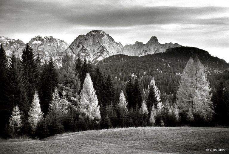 Visions | Danta di Cadore, 2009