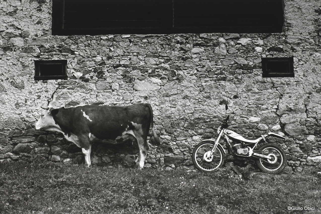 Still lives | Val di Casies, 2004