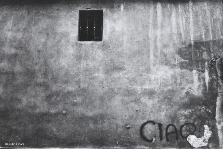 Proclamation | Comelico superiore, 1984