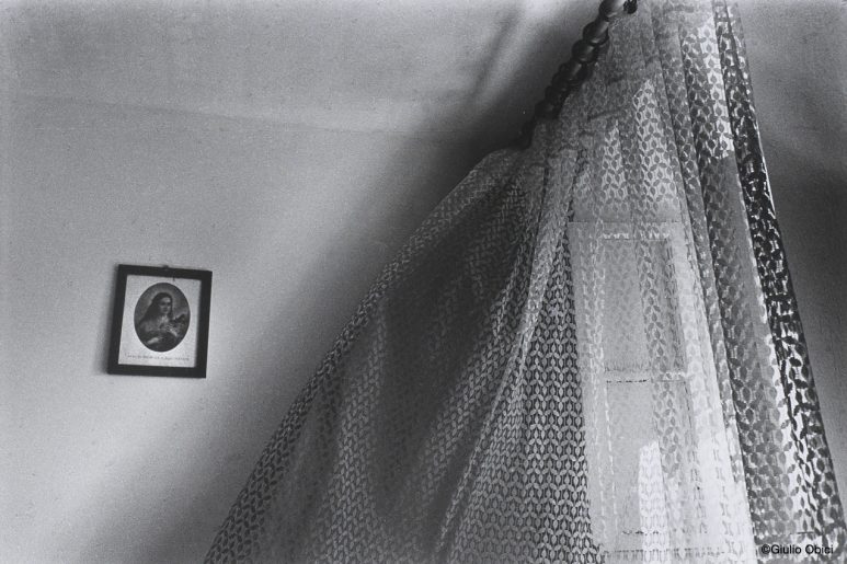 Still lives | Stivan, Cres island, 2006